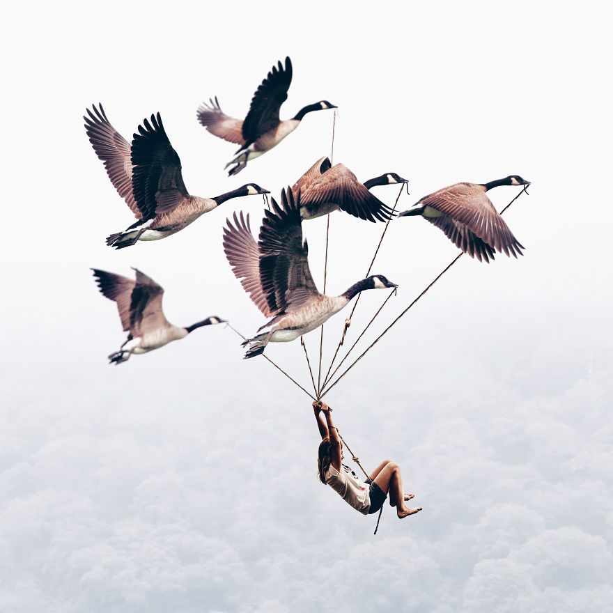 pr1nceshawn:  Surreal Illusions by Luisa Azevedo.