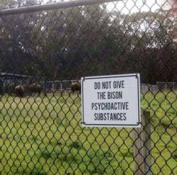 queen-vkc: its-a-geek-haven:   awesomacious:  I’d have thought that would be obvious  The fact that the sign is neccessary…   😲 