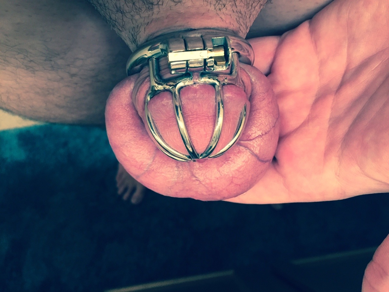 locked4jade:Think this cage is small enough?