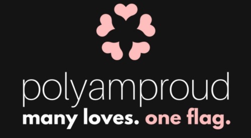 nightfallsystem:Anyway posting here BC my other one is in a bunch of reblogs but to sum it upThe new polyam flag is trying to replace every other polyam flag, Polyamproud does not want diversity, they want one flag, their flag, to represent polyamory.