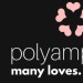 nightfallsystem:Anyway posting here BC my other one is in a bunch of reblogs but to sum it upThe new polyam flag is trying to replace every other polyam flag, Polyamproud does not want diversity, they want one flag, their flag, to represent polyamory.