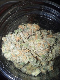 nuug-life:  the-stone-life:  Medical Blue dream  mah fav strain for life