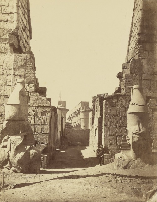 boneandpapyrus:Entrance to the Temple of Luxor, 1872Photographer Félix Bonfils(The Getty)