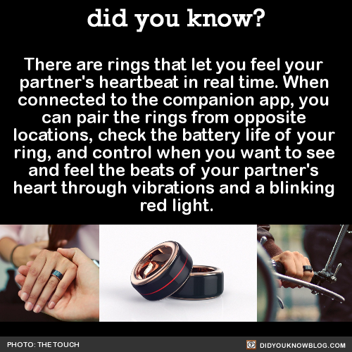 hummingbirdhearts: did-you-kno: There are rings that let you feel your partner’s heartbeat in real t