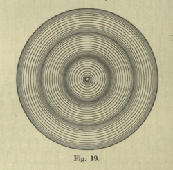 nemfrog:  Fig. 19. Sound moves outward. An elementary text-book of physics. 1909. 