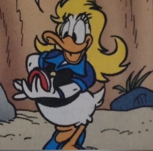 I've Noticed A Unique Pattern In Donald, But I Haven't Figured Out What It Is Yet...