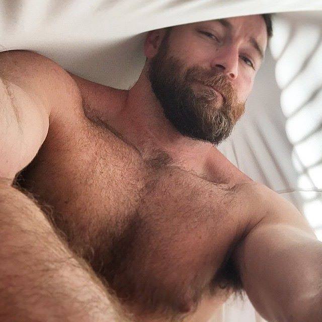 The Boy Who Loves Bears
