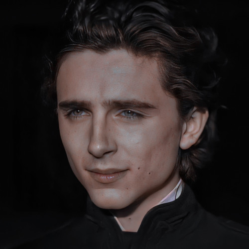 TIMOTHEE CHALAMET ICONS