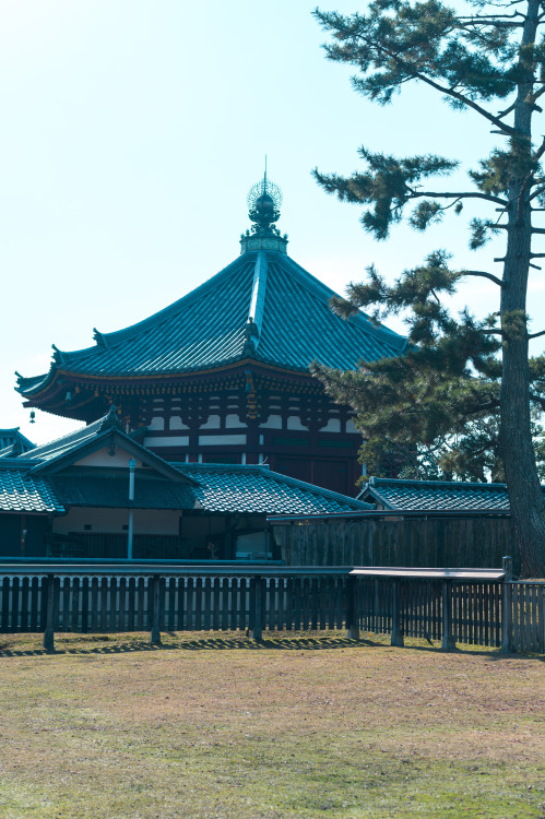 Kōfuku-ji TempleNara, December 2021