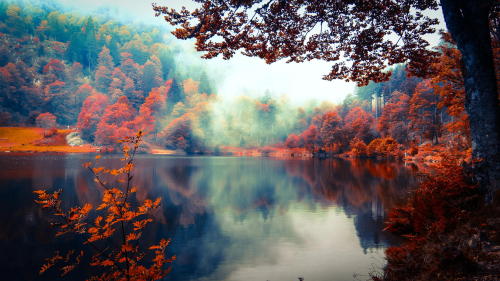 landscapelifescape:    Indian Summer by Chris W. 