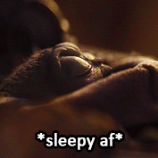 flamingdumpsterkittn:  mandalomera:  are you baby yoda af? [insp] | [mando af]   Right now I’m hungry bby 