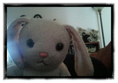 MorningBunnyFace from kambriel! Constance Bunny is very happy to have Kambriel to snuggle with for this week!