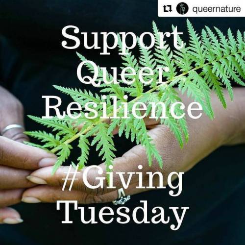 #Repost @queernature (@get_repost)・・・Tomorrow is #givingtuesday ! Donate to Queer Wilderness Project