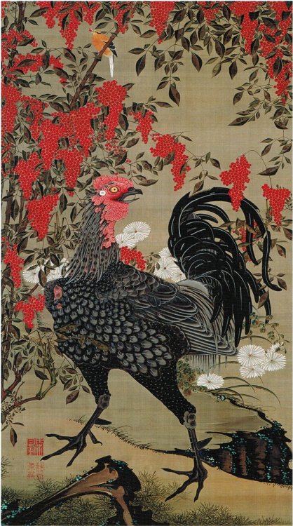 humanslikeme: Nandina and Rooster from the Colorful Realm of Living Beings by Itō Jakuchū, c. 1761-6