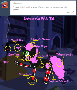 darkfiretaimatsu:  All the important features of your typical Pinkie Tai~ Heck, even the black coat is an unusual feature~   So fascinating~
