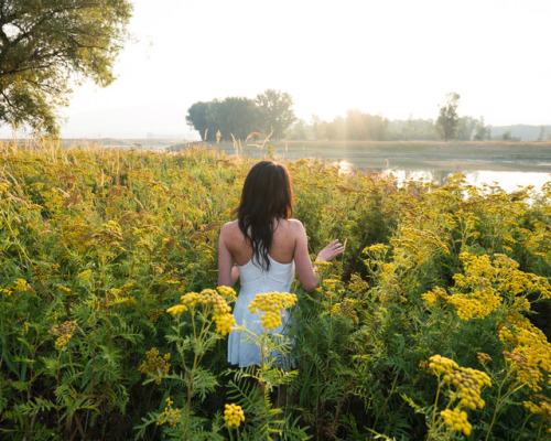 tinker-street:FORREST MANKINS + THERON HUMPHREY for GOOSE ISLAND *