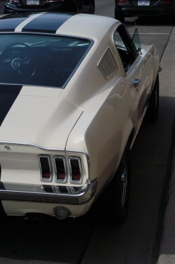 motorcitycars:  Ford Mustang by Motor City