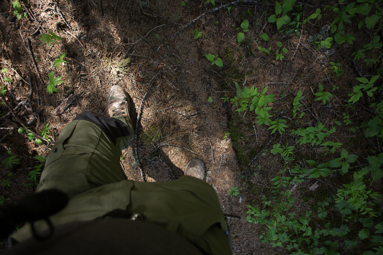 lobo-de-luna:  Adventures around Mt Spokane.Part 1