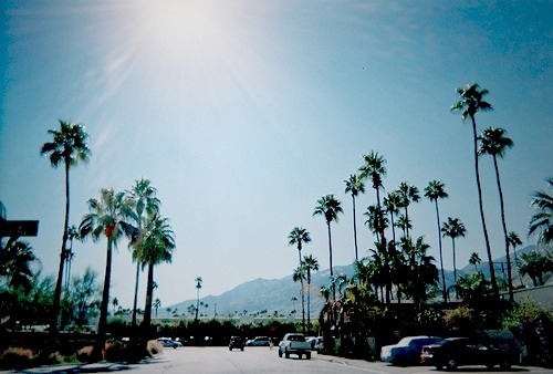 tumblr photo alacanno 0