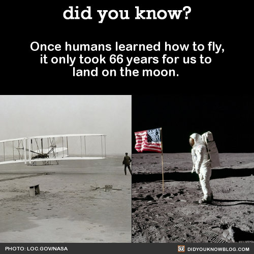 did-you-kno:  Once humans learned how to fly, it only took 66 years for us to  land