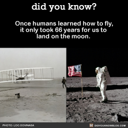 did-you-kno:  Once humans learned how to