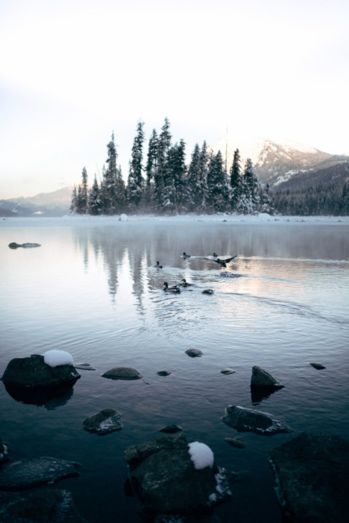 masonstrehlphoto: Sunrise at Lake Wenatchee  Mason Strehl (Web | Instagram)