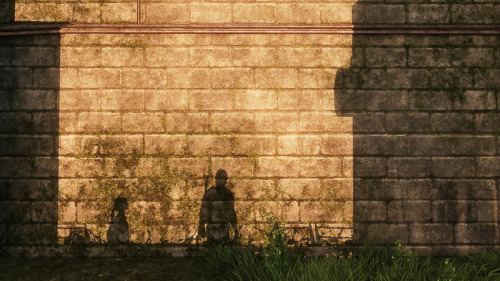 I’ve spent the last few weeks experiencing (one more time) Last Of Us Remastered and its photo