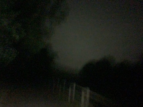 Blurry Walk