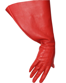 venuswarhol: A transparent Gaga’s glove for your blog.