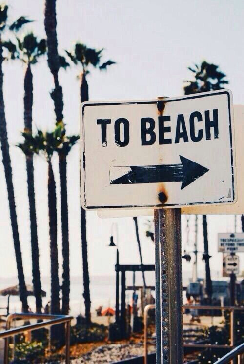 silly-luv:  ♡ find your best posts on my blog ♡