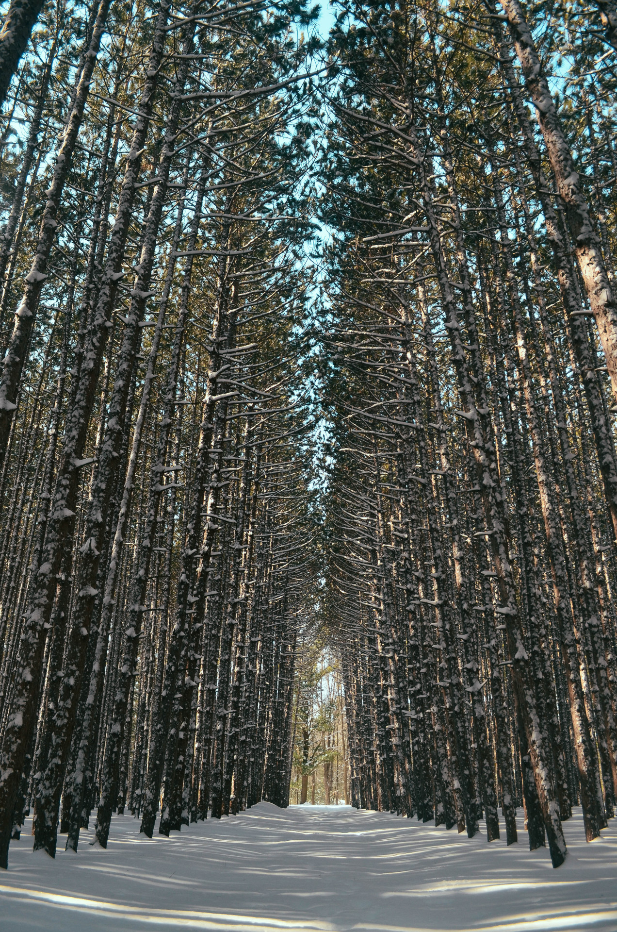 zacharysnellenberger:   Today's Scenery | Zachary Snellenberger 