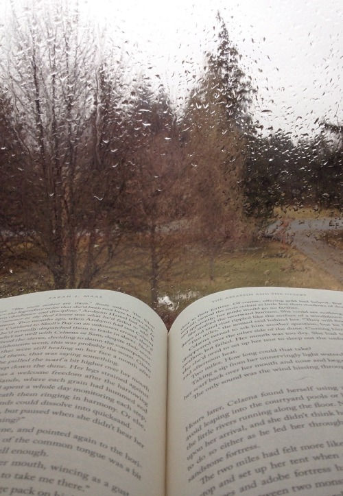 bookdrunkdemigod:Rainy day reading.