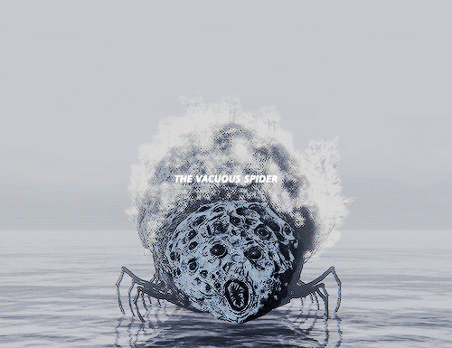 The Spider Hides All Manner Of Rituals, Certain To Reveal Nothing, For True Enlightenment Need Not Be