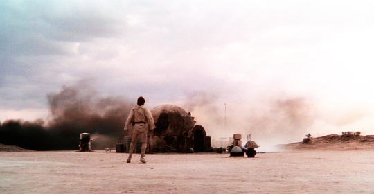 maisiewilliams:  The force is strong in my family. My father has it. I have it. My