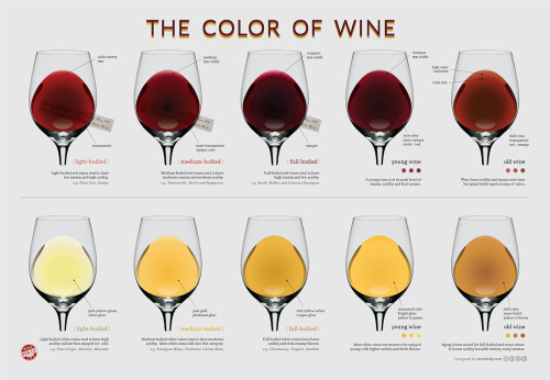 zenfallon:  ancestryinprogress:  boujhetto:  Wine 101  How-to Choose How-to Pair w/Food Using The Right Glass Shows You Have Class  Basic Types of Wine Expanded typing of Wines What Temp For EachType of Wine Knowing Your Wine Colors Wine Type Descriptions