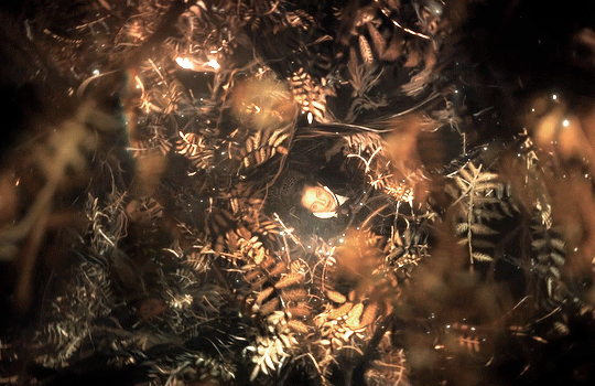 1f9dd75531262b2d1ad760e10e6020e8a8d357c2.gif