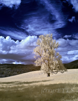 &ldquo;Cades Cove&rdquo; Cades Cove landscapeSmoky Mountain National ParkIR converted D90