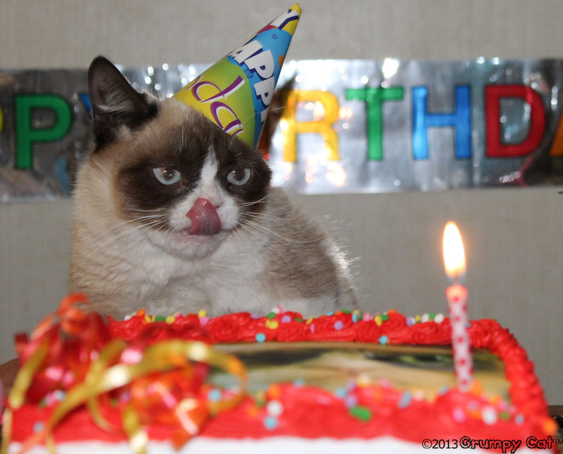 Grumpy Cat turns one year old today! H̶a̶p̶p̶y̶ Birthday!