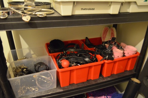 thattroikidd:  So some people say the sexiest thing about the collection is its organisation :D But yeah this is now where everything lives! Including a few things from izzellia, jumblejumble-, cassiecorpse  