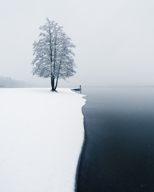 Shapes of Nature by Mikko Lagerstedt