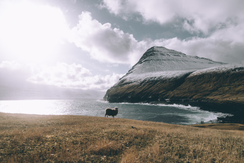 tulipnight:Faroes by Johannes Hoehn