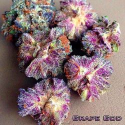 804r3d3y3:  Grape God #pot #bud #maryjane