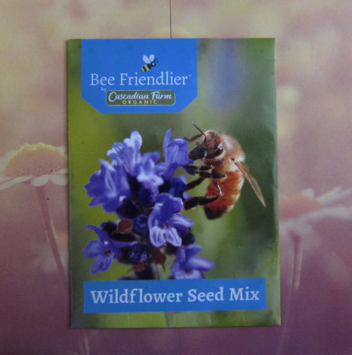 June 2015 - Attractively packaged free seeds arrived from Cascasdian FarmAttractive is an understate