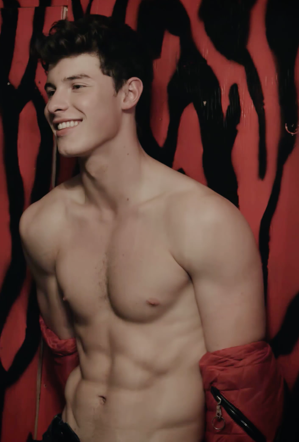Shawn MendesJfpb