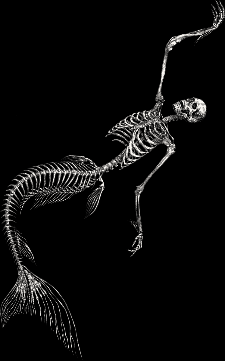 ex0skeletal:  by  Ana Van Pelt  