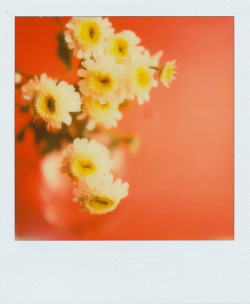 floralls: Flowers, part 1 by  Kumiko SEKIGUCHI