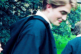 Remember That, And Cedric Diggory Will Not Have Died In Vain.