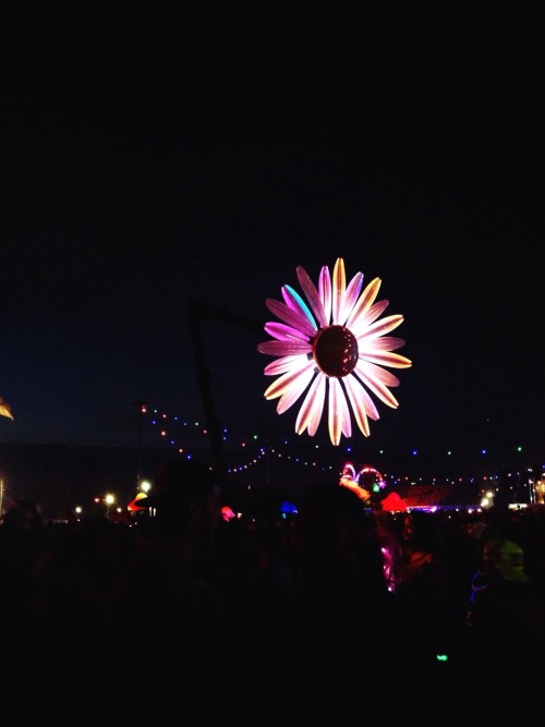 steezytreeez:  EDC was life changing I just porn pictures