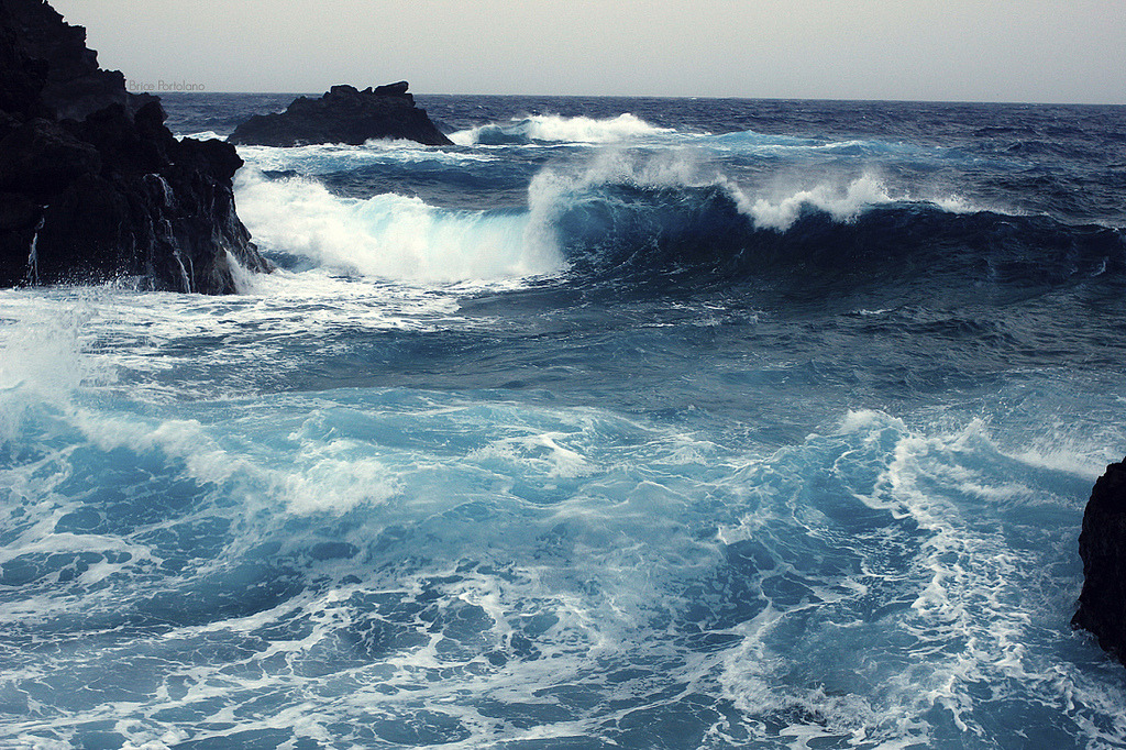 brutalgeneration:  tender jaws (by BricePortolano) 