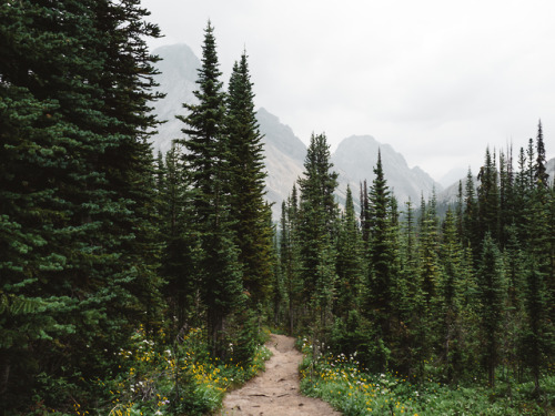 Burstall Pass Trail - Kananaskis Country, Alberta, Canada